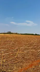 Fazenda ZONA RURAL, Ipameri - GO — foto 2