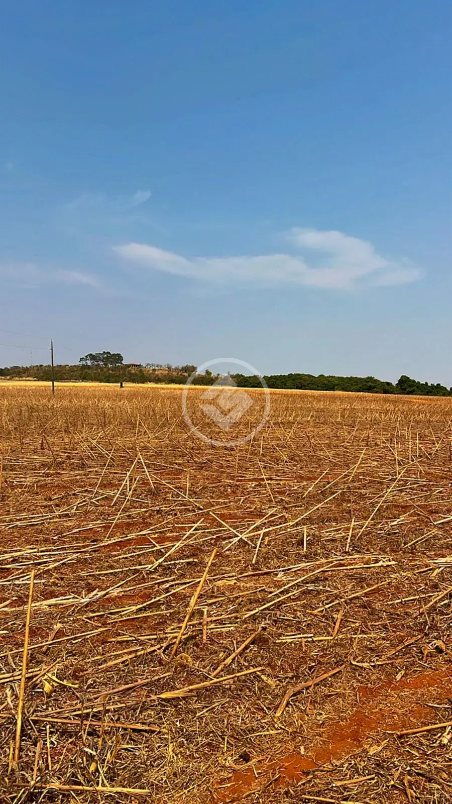Imagem 1 - Fazenda em ZONA RURAL, Ipameri - GO