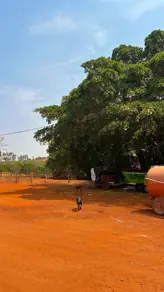 Imagem 2 - Fazenda em ZONA RURAL, Ipameri - GO