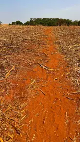 Imagem 4 - Fazenda em ZONA RURAL, Ipameri - GO