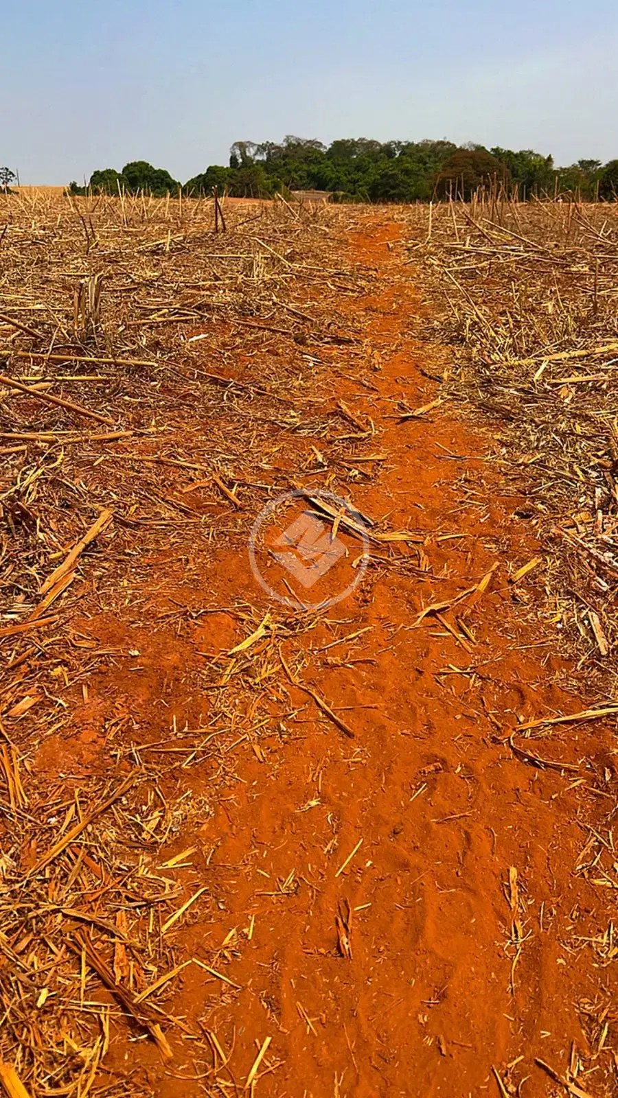 Imagem 4 - Fazenda em ZONA RURAL, Ipameri - GO