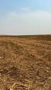 Imagem 6 - Fazenda em ZONA RURAL, Ipameri - GO