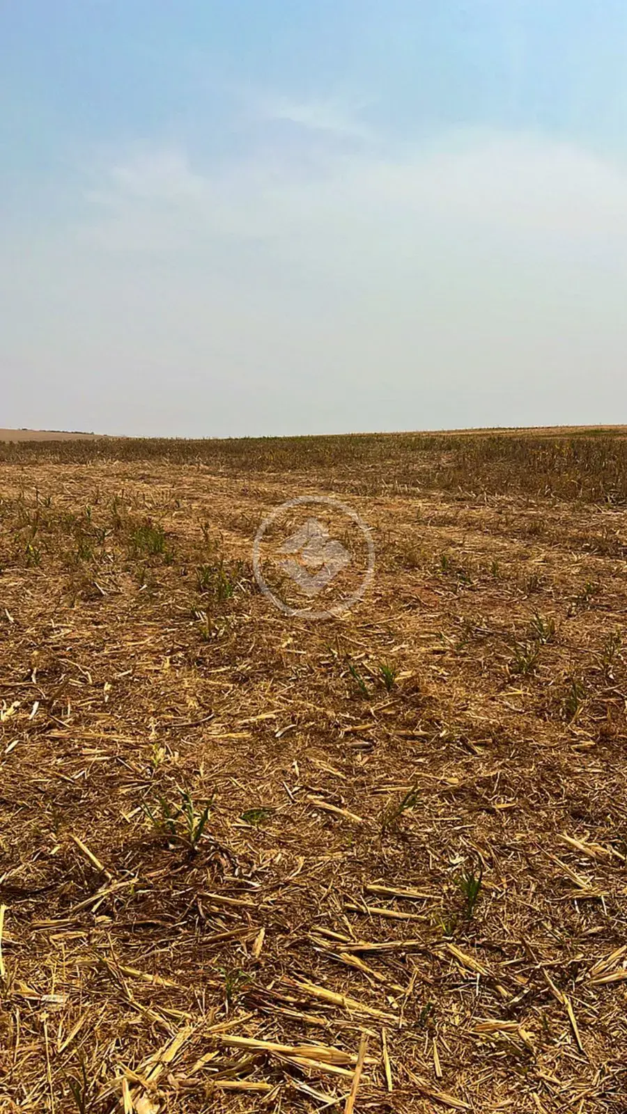 Imagem 6 - Fazenda em ZONA RURAL, Ipameri - GO