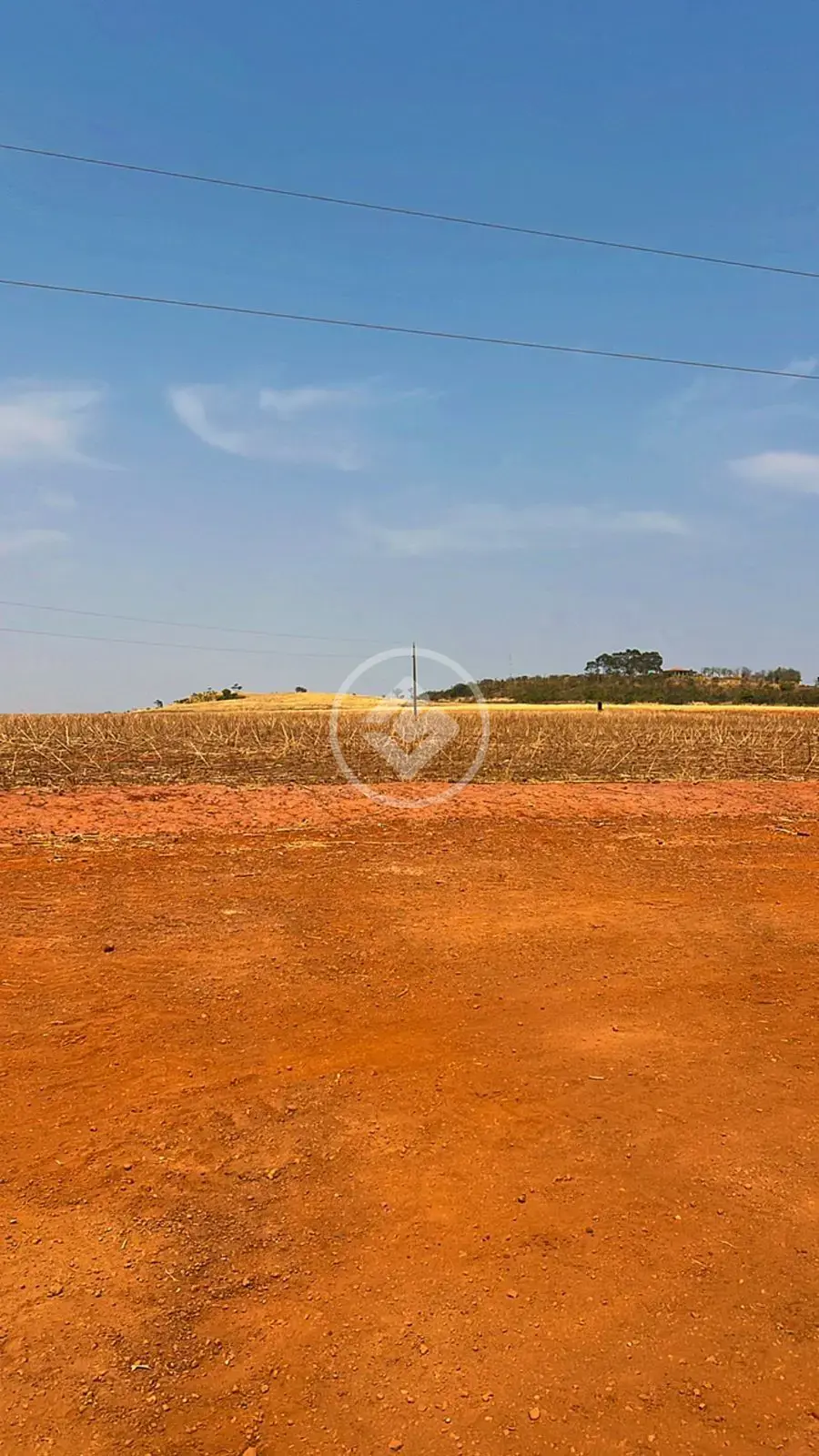Image 12 - Fazenda em ZONA RURAL, Ipameri - GO