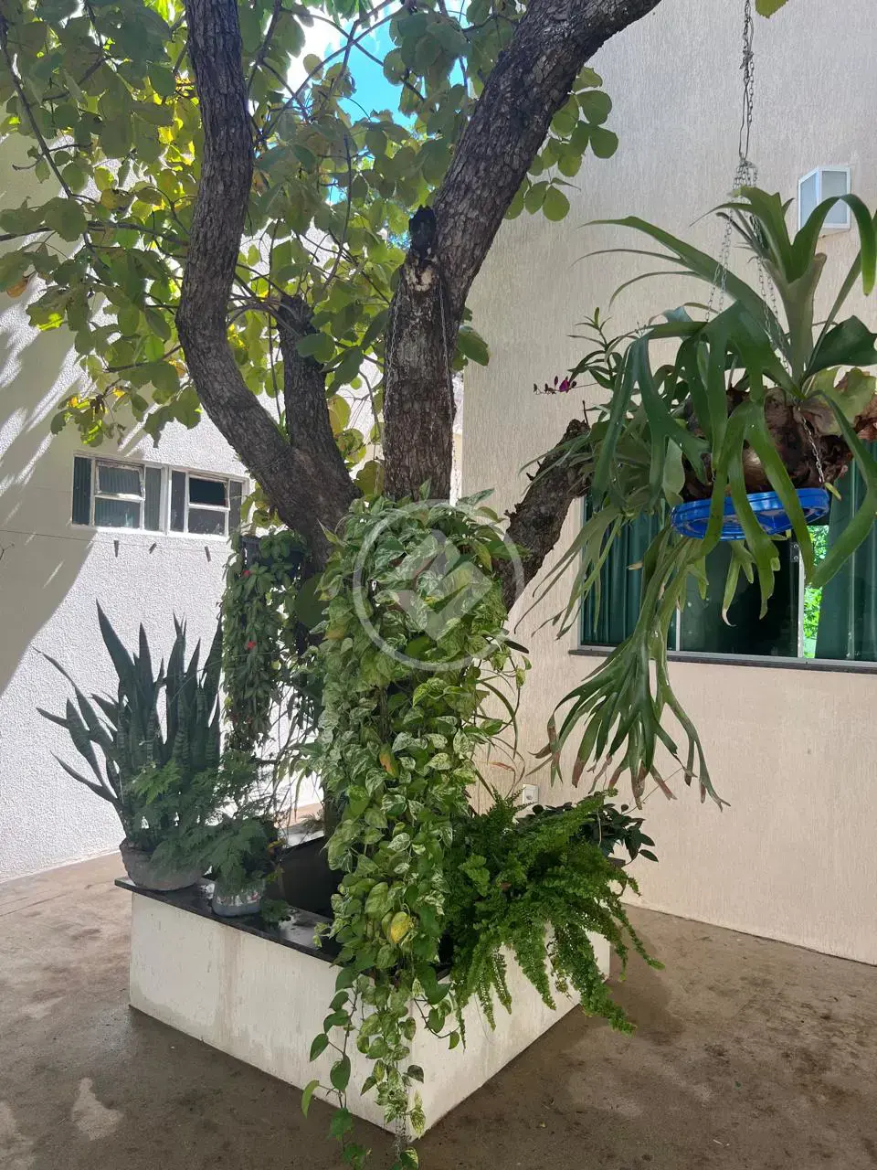 Image 43 - Casa em Encontro dos Rios, Aruanã - GO