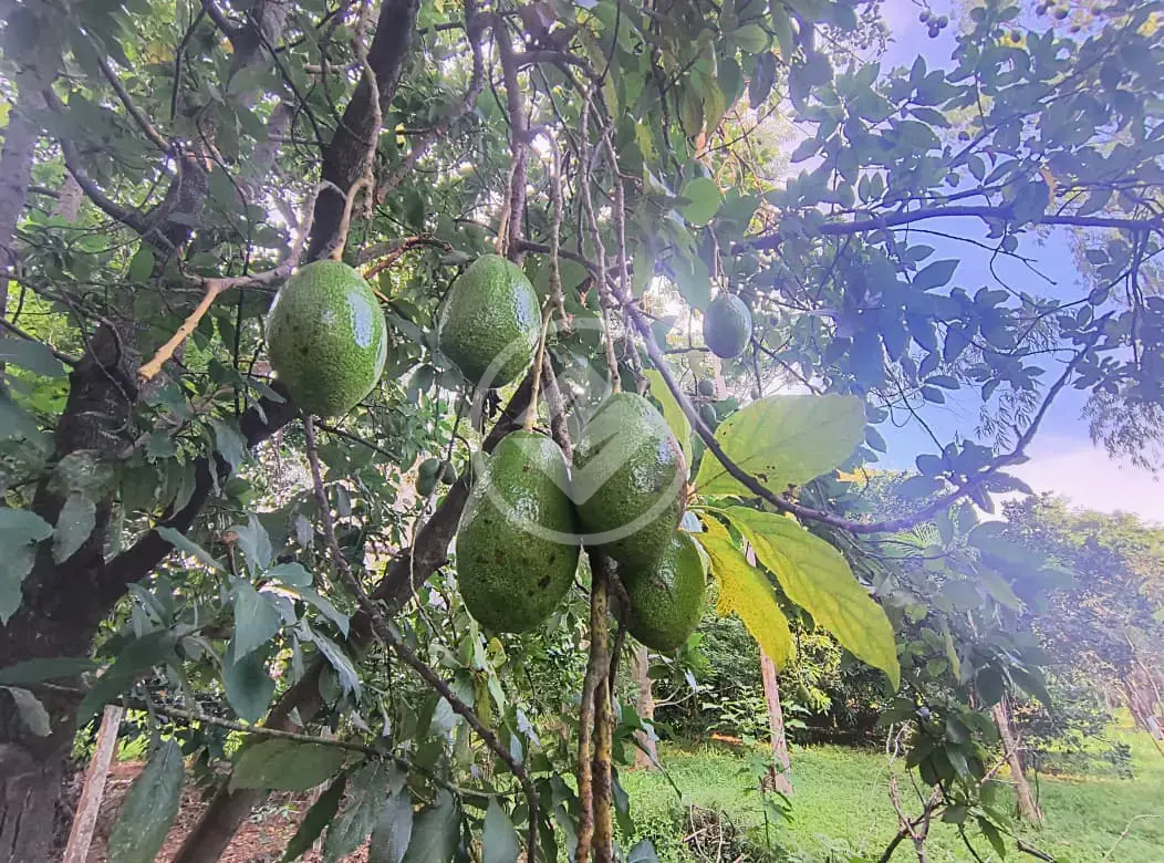 Imagem 5 - Terreno Condomínio em Condomínio Estância das Águas, Hidrolândia - GO