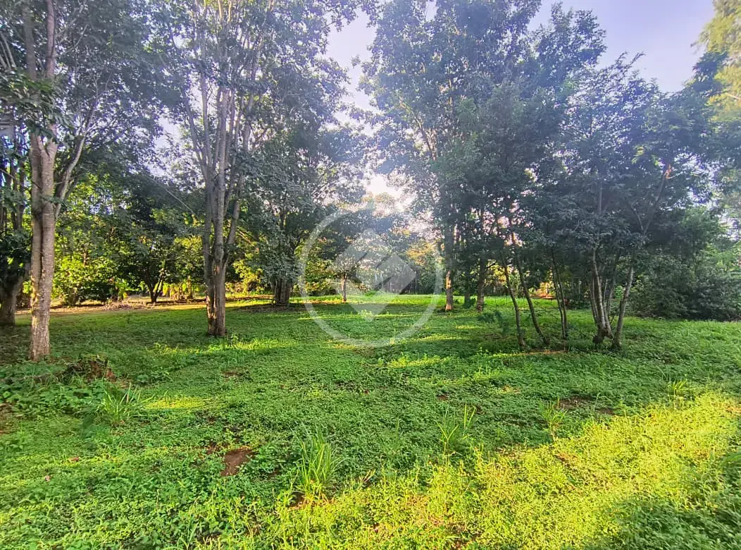 Imagem 3 - Terreno Condomínio em Condomínio Estância das Águas, Hidrolândia - GO