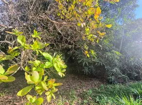 Imagem 5 - Terreno Condomínio em Condomínio Estância das Águas, Hidrolândia - GO