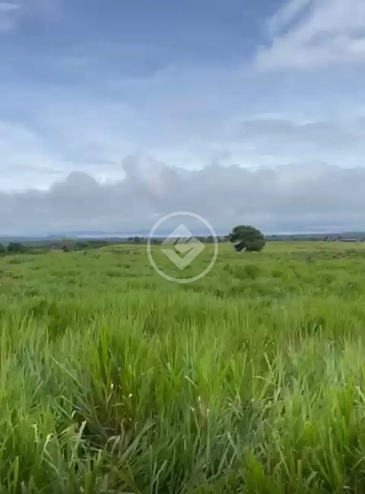 Imagem 1 - Fazenda em Zona Rural, Arapoema - TO