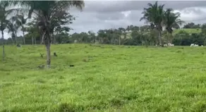 Imagem 3 - Fazenda em Zona Rural, Arapoema - TO