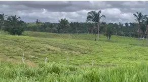 Imagem 6 - Fazenda em Zona Rural, Arapoema - TO