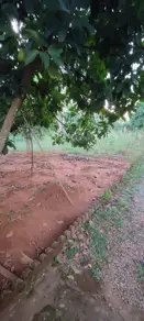 Terreno Bairro Nazaré, Hidrolândia - GO — foto 1
