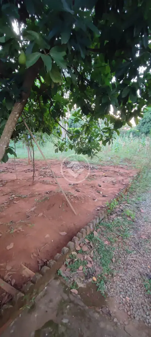 Imagem 1 - Terreno em Bairro Nazaré, Hidrolândia - GO