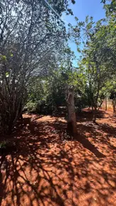 Imagem 4 - Terreno em Bairro Nazaré, Hidrolândia - GO