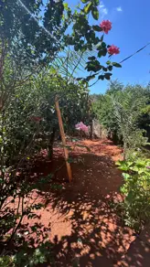 Imagem 6 - Terreno em Bairro Nazaré, Hidrolândia - GO