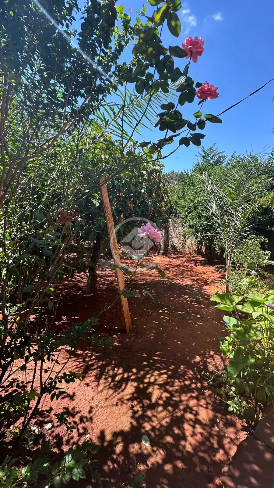 Imagem 6 - Terreno em Bairro Nazaré, Hidrolândia - GO