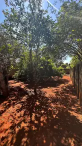 Imagem 5 - Terreno em Bairro Nazaré, Hidrolândia - GO
