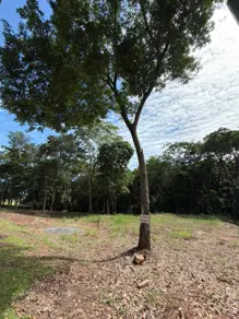 Imagem 4 - Terreno em Condomínio Country Ville II, Hidrolândia - GO