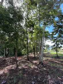 Imagem 6 - Terreno em Condomínio Country Ville II, Hidrolândia - GO