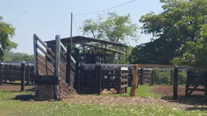 Fazenda Área Rural de Palmas, Palmas - TO — foto 2