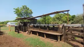 Imagem 3 - Fazenda em Área Rural de Palmas, Palmas - TO