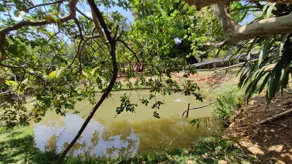 Imagem 3 - Chácara em Zona Rural Hidrolandia, Hidrolândia - GO