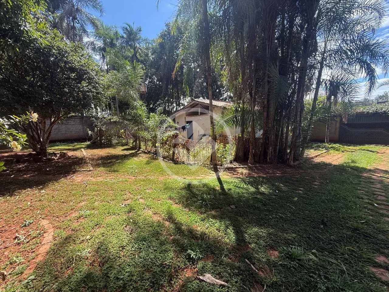 Imagem 4 - Casa em Vila Grimpas, Hidrolândia - GO