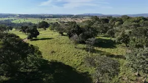 Fazenda Zona Rural, Hidrolândia - GO — foto 1