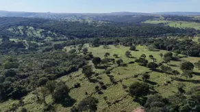 Fazenda Zona Rural, Hidrolândia - GO — foto 2