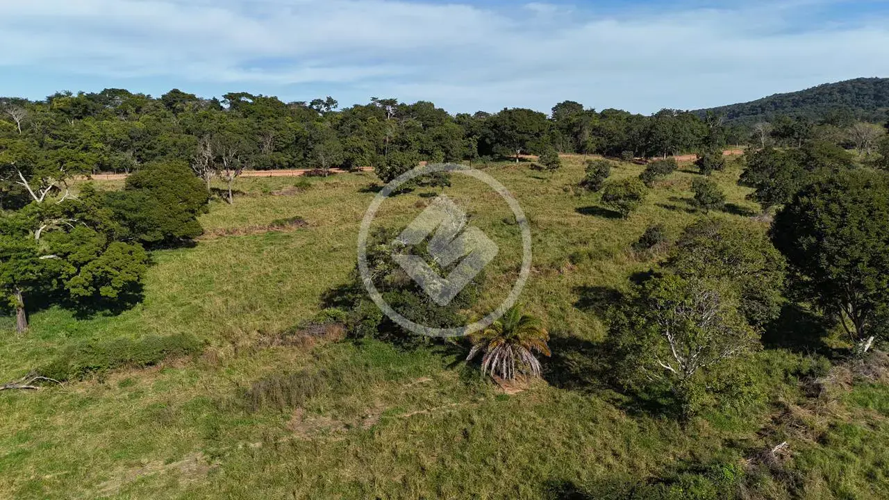 Imagem 3 - Fazenda em Zona Rural, Hidrolândia - GO