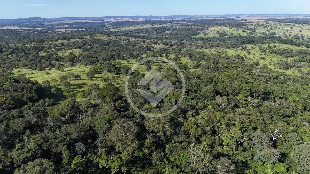 Imagem 4 - Fazenda em Zona Rural, Hidrolândia - GO