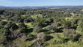 Imagem 5 - Fazenda em Zona Rural, Hidrolândia - GO