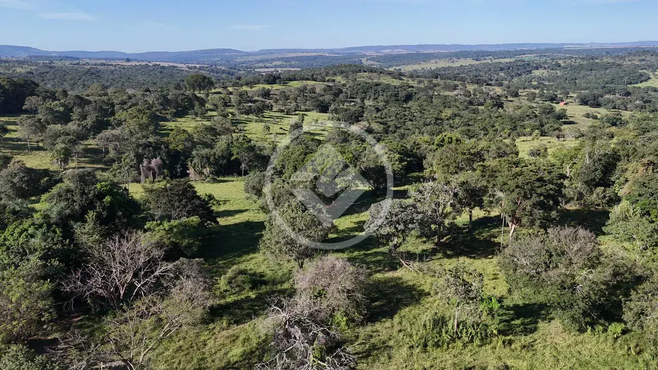 Imagem 5 - Fazenda em Zona Rural, Hidrolândia - GO