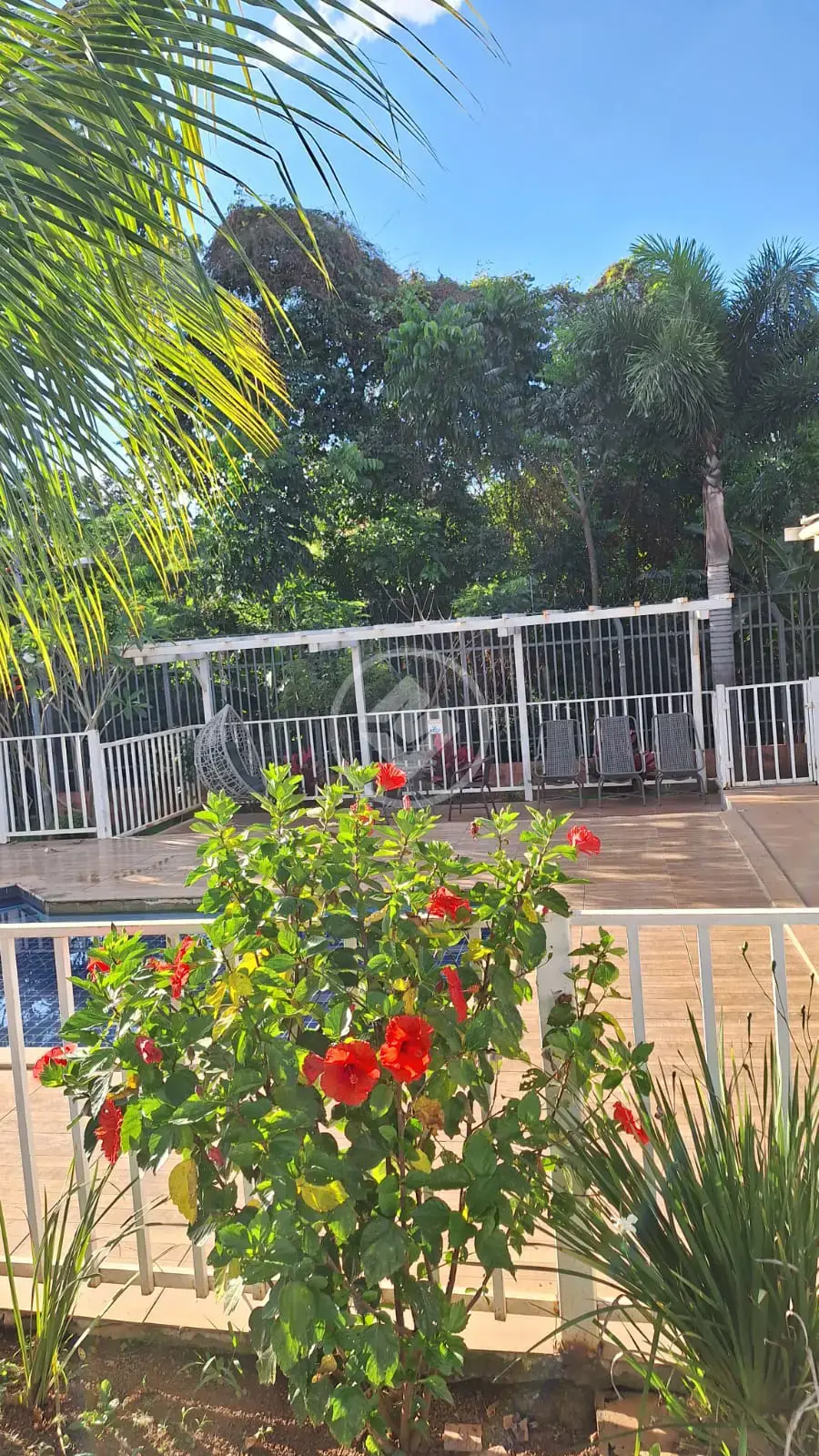 Imagem 3 - Casa em Condomínio do Residencial Flor do Ipê, Aparecida de Goiânia - GO