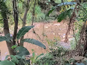 Imagem 6 - Chácara em Rosa dos Ventos, Aparecida de Goiânia - GO