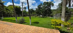 Imagem 4 - Chácara em Área Rural, Aragoiânia - GO