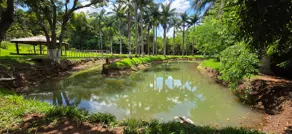 Chácara Área Rural, Aragoiânia - GO — foto 1