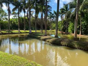 Chácara Área Rural, Aragoiânia - GO — foto 2