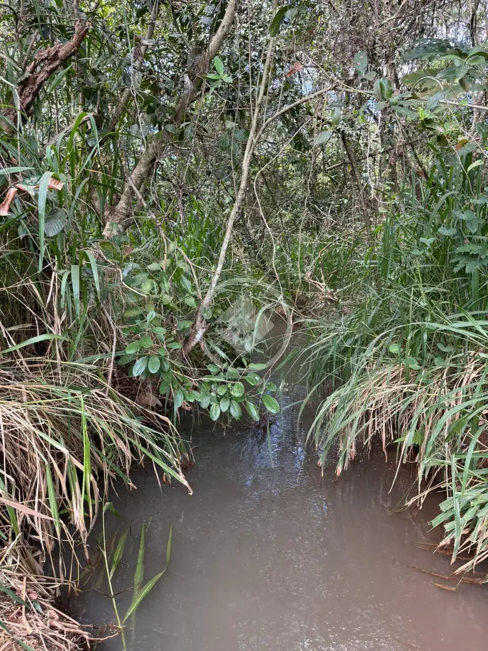 Imagem 2 - Terreno Condomínio em Hidrolandia - Go, Hidrolândia - GO