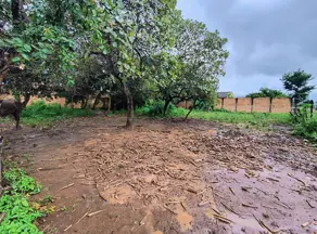 Imagem 2 - Terreno em Villa Deifiore, Aparecida de Goiânia - GO