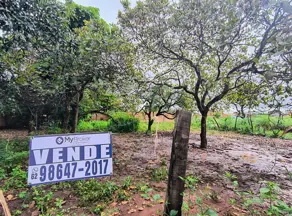 Imagem 3 - Terreno em Villa Deifiore, Aparecida de Goiânia - GO