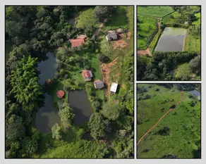 Imagem 2 - Fazenda em Zona Rural, Caldazinha - GO