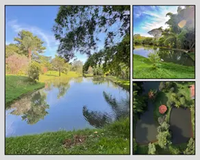Imagem 4 - Fazenda em Zona Rural, Caldazinha - GO