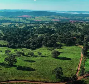 Imagem 3 - Fazenda em Zona Rural, Cristianópolis - GO