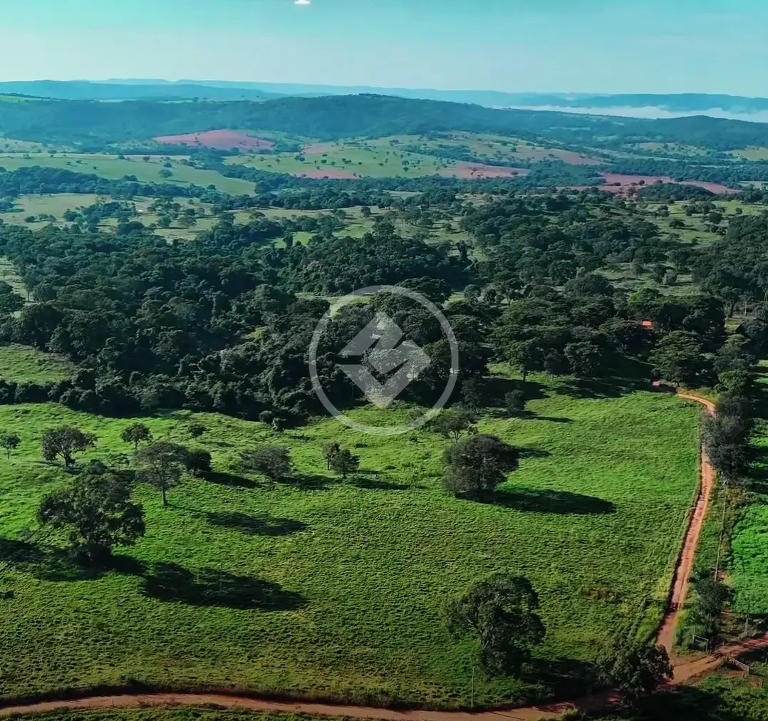 Imagem 3 - Fazenda em Zona Rural, Cristianópolis - GO