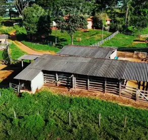 Imagem 2 - Fazenda em Zona Rural, Cristianópolis - GO