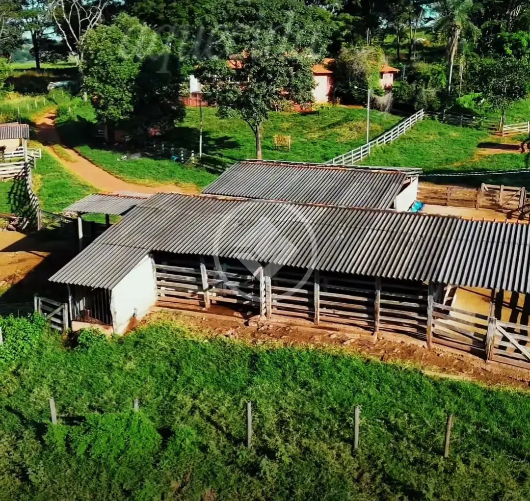 Imagem 2 - Fazenda em Zona Rural, Cristianópolis - GO