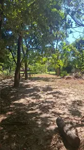Imagem 3 - Chácara em Garavelo Sul, Hidrolândia - GO