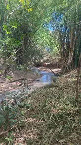 Imagem 2 - Chácara em Garavelo Sul, Hidrolândia - GO