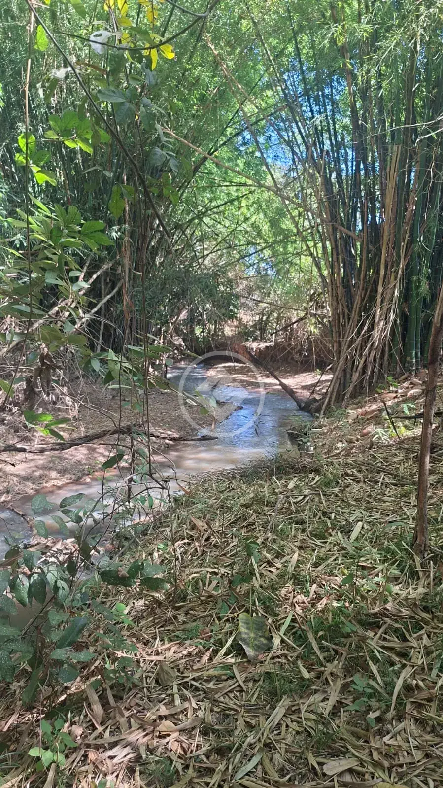 Imagem 2 - Chácara em Garavelo Sul, Hidrolândia - GO